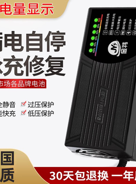 自动断电智能电动车电瓶充电器48V12AH60V20AH72爱玛雅迪三轮通用