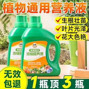 植物营养液绿植花卉花肥家用盆栽通用型浓缩营养液园艺肥料黄金葛