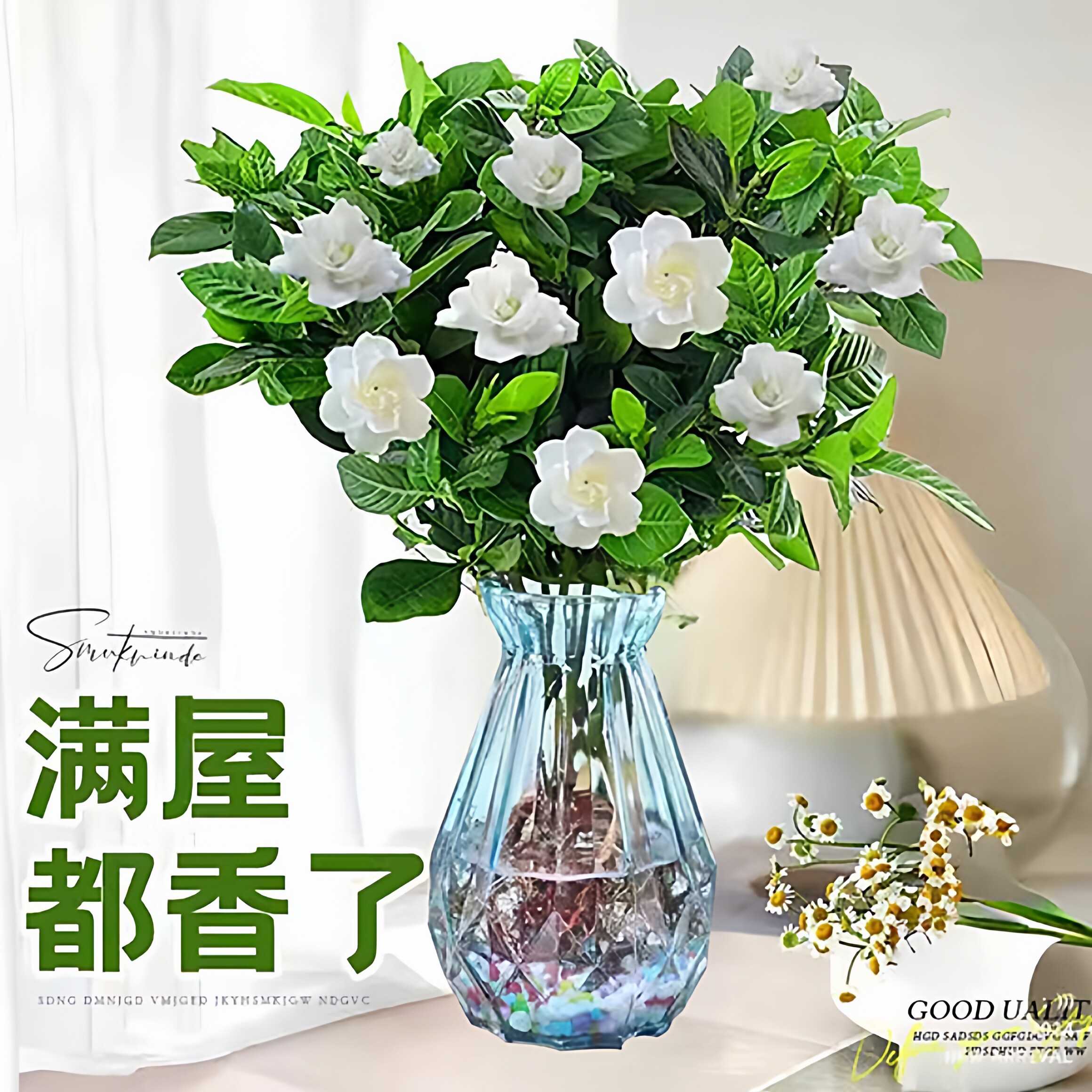 水培栀子花植物盆栽带花苞办公室内桌面养懒人鲜花束绿植水养花卉