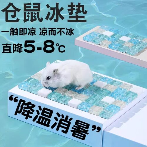 仓鼠冰垫专用凉席垫宠物用品夏天宠物降温冰垫消暑散热板金丝熊