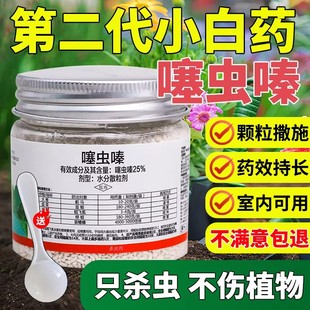 小白药杀虫药剂噻虫嗪撒施型防虫颗粒蔬菜花卉植物土壤专用杀虫剂