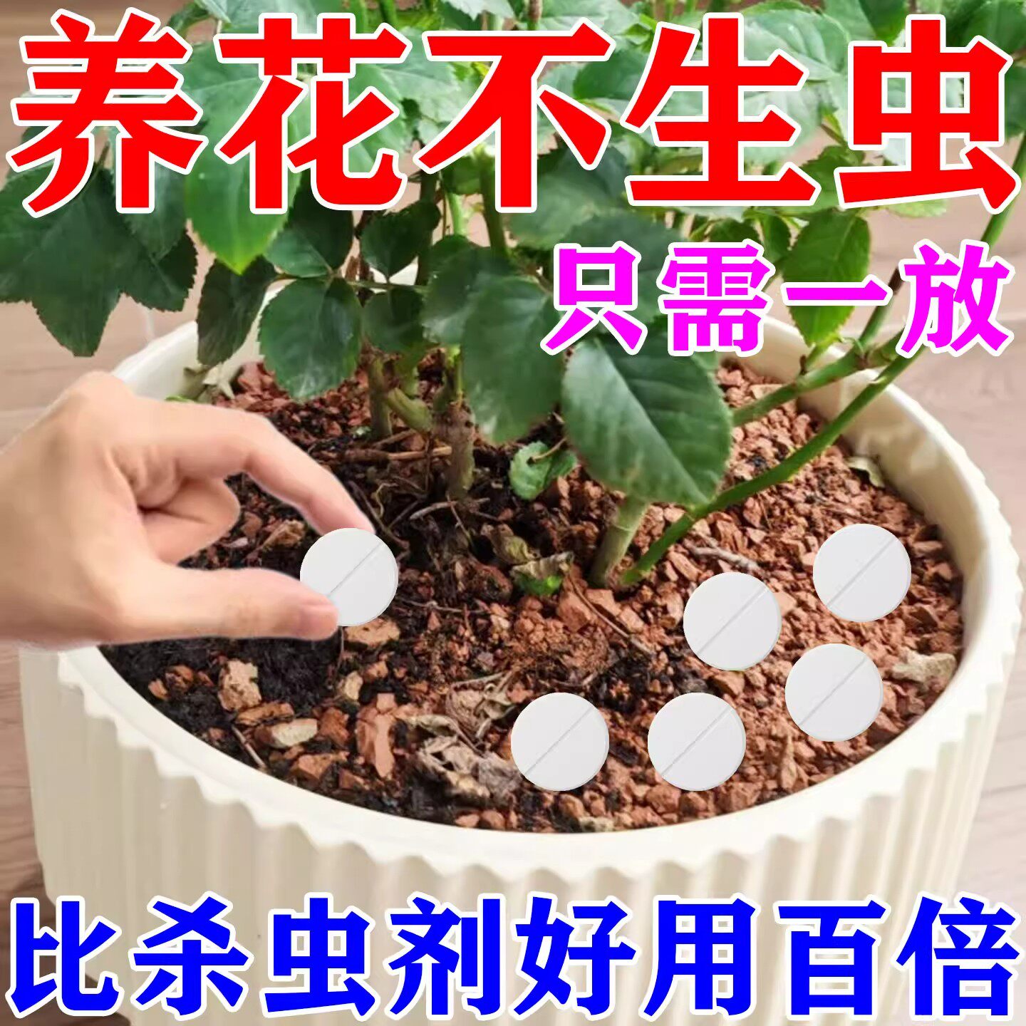 土壤杀虫剂花卉专用颗粒除虫药片