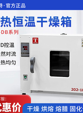 天津泰斯特 202-0DB/1DB/2DB/3DB 电热恒温干燥箱 实验室小型烘箱