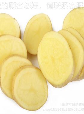 红薯片切 机 莲藕手大姜萝卜切片机 地瓜PRR刨片佛机土豆削片大产