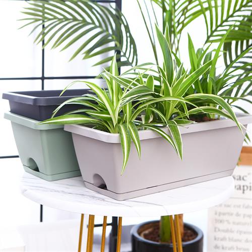 长条种菜盆家庭用塑料加高款花盆 特大号果绿色种植箱