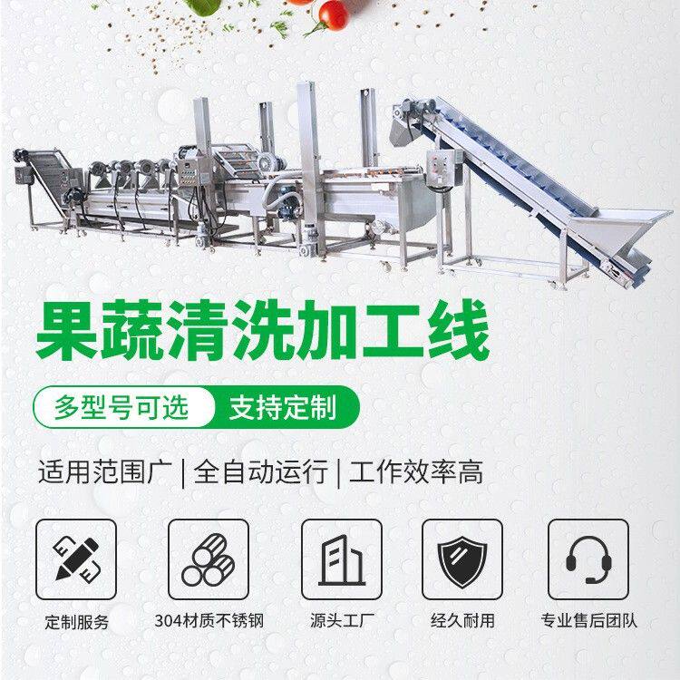 全套蔬菜清洗生产线 商用辣椒果蔬高压漂烫分选机