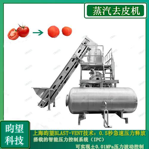 昀望全自动果蔬脱皮机 西红柿 马铃薯蒸汽去皮机