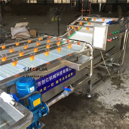 供应三七甘草去泥清洗设备 全自动喷淋清洗机 牛蒡链板气泡清洗机