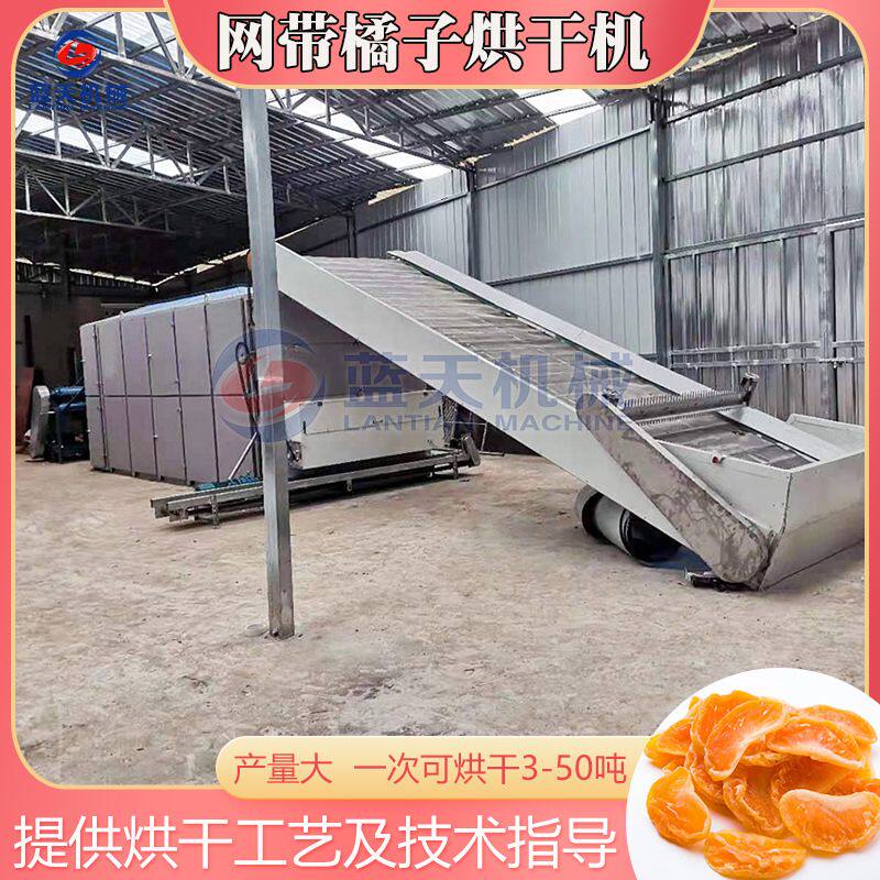 网带橘子烘干机 大型桔子沃柑水果柑桔哄干设备 丑橘电加热干燥机