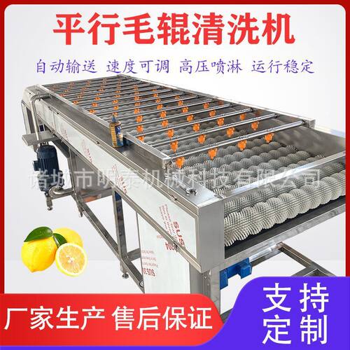 人参果平行毛辊清洗机 百香果燕窝果洗果机 芥菜头高压喷淋洗菜机
