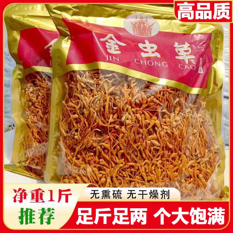 新货虫草花干货新鲜金蛹北虫草菇孢子头农户批发煲汤食材无干燥剂
