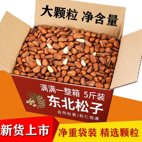 开口东北松子特级特大袋装手剥原味新货大颗粒健康孕妇坚果干果