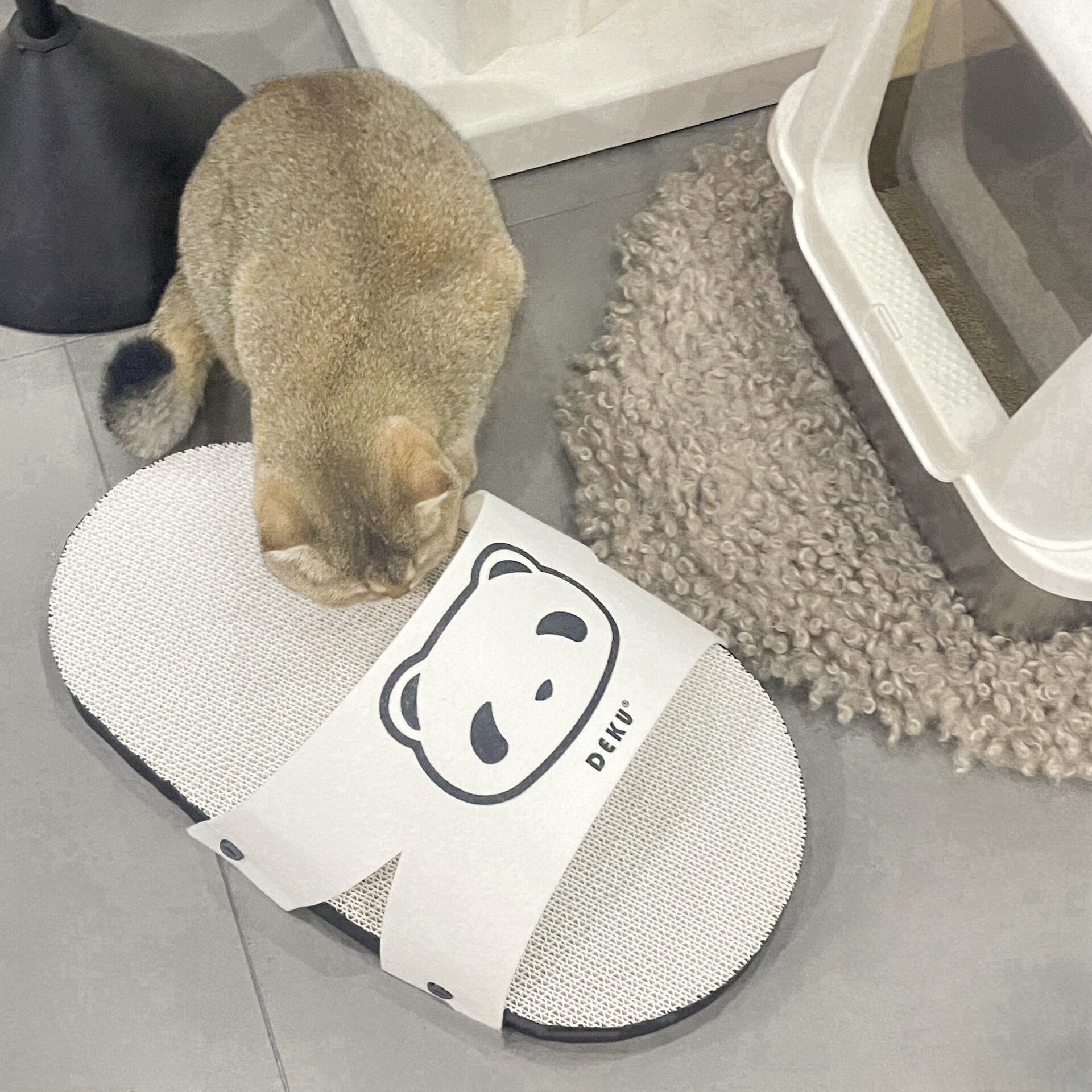日系熊猫拖鞋猫抓板可爱