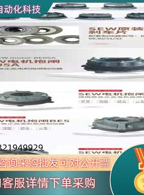 现货SEW制动器BMG2 BMG4 BMG8 BE1 BE5 1