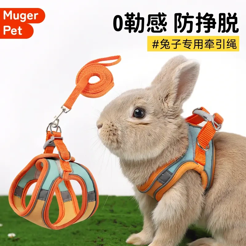 兔子牵引绳遛专用防挣脱溜兔绳子
