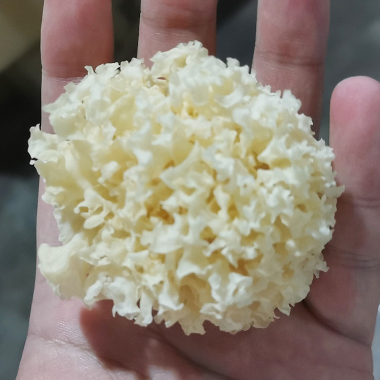 古田特产食用菌小银耳无熏硫椴小银耳散装 椴木银耳出胶干货