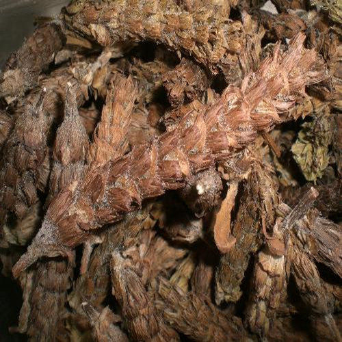 夏枯草 夏枯球 棒槌草 白花草 材 专业市场 1000g克