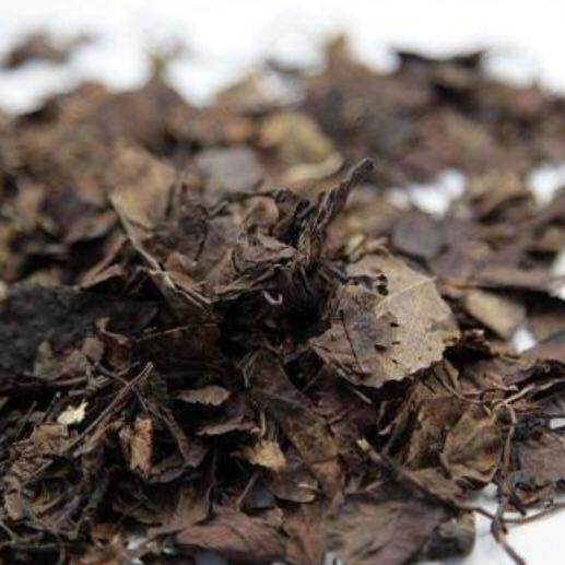 鹿衔草 鹿含草 鹿蹄草 六衔草 鹿寿草 中草