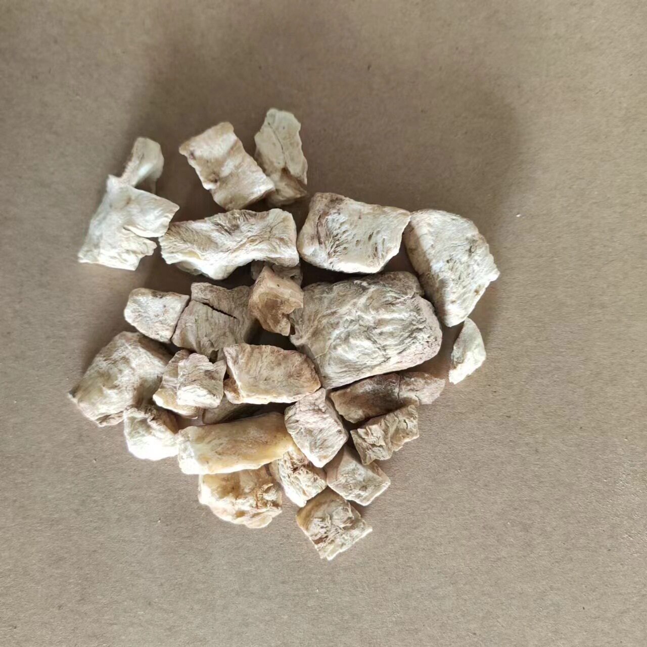 菊苣根片 材 1000g克