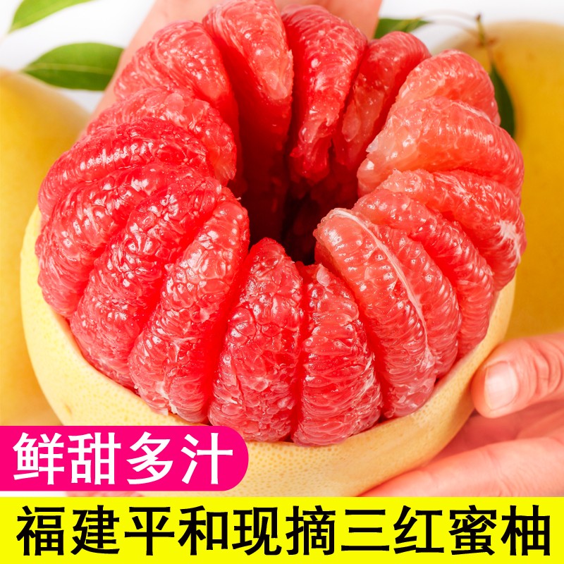 红心蜜柚正宗平和三红蜜柚果园直发新鲜当季水果孕妇水果