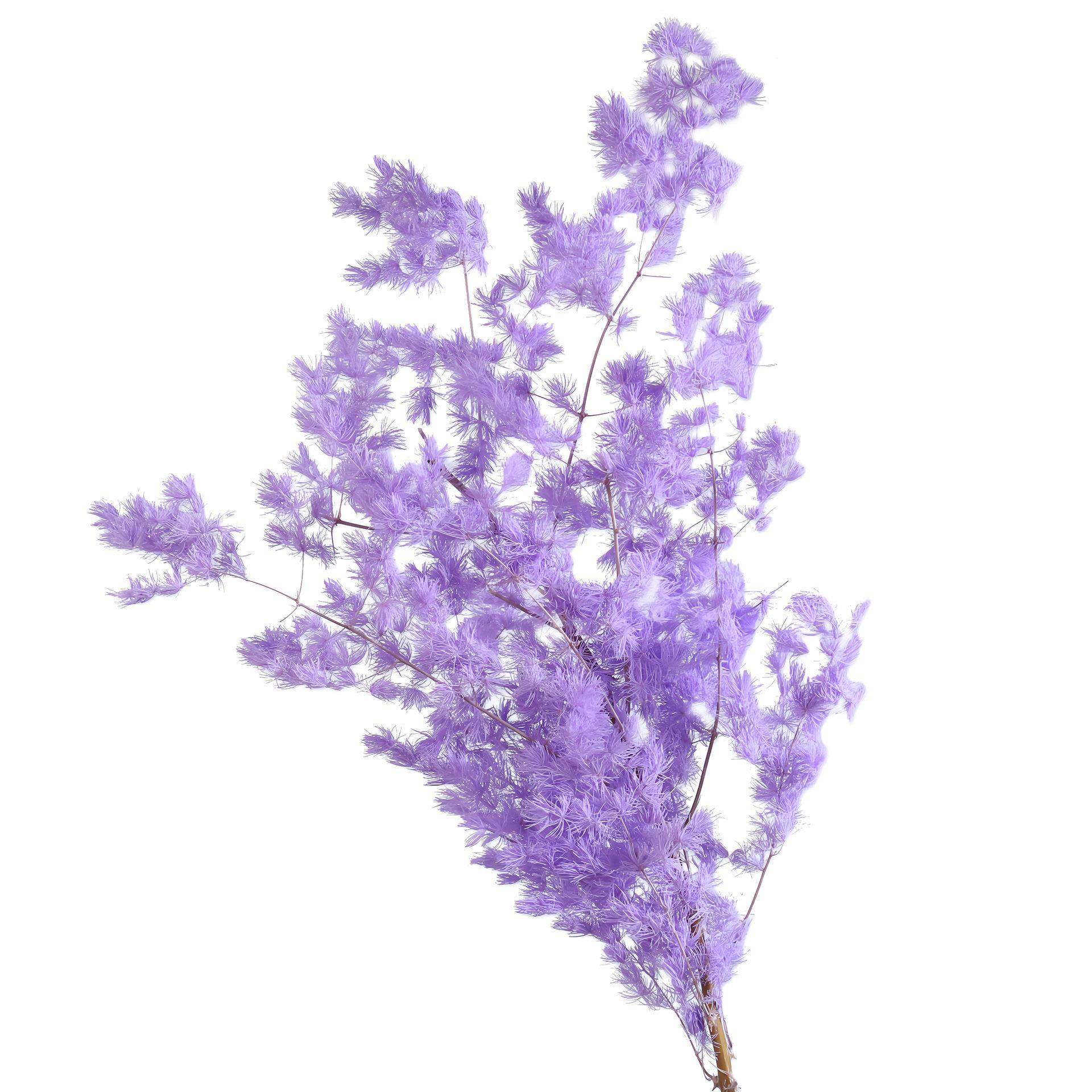 国产永生花蓬莱松手工diy材料玻璃罩雪松节日家居摆件插花装饰,家居饰品,餐桌花艺,淘宝优惠券,粉丝福利购,淘宝优惠卷