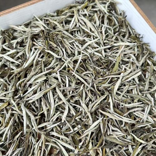 茉莉凤尾针 2025新茶特级茉莉花茶
