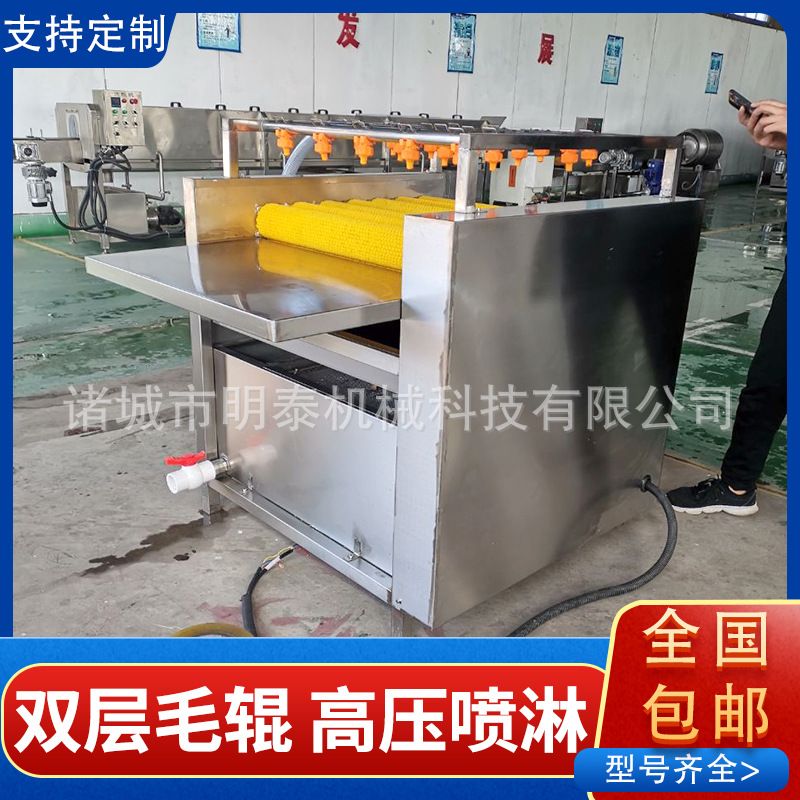 菠萝叶清洗机 全自动隧道式槲树叶清洗设备 双层毛刷粽叶清洗机