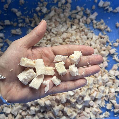 W全自动牛肉粒切丁机 大型鸡肉微冻肉切丁机商用猪羊牛鲜肉切丁机