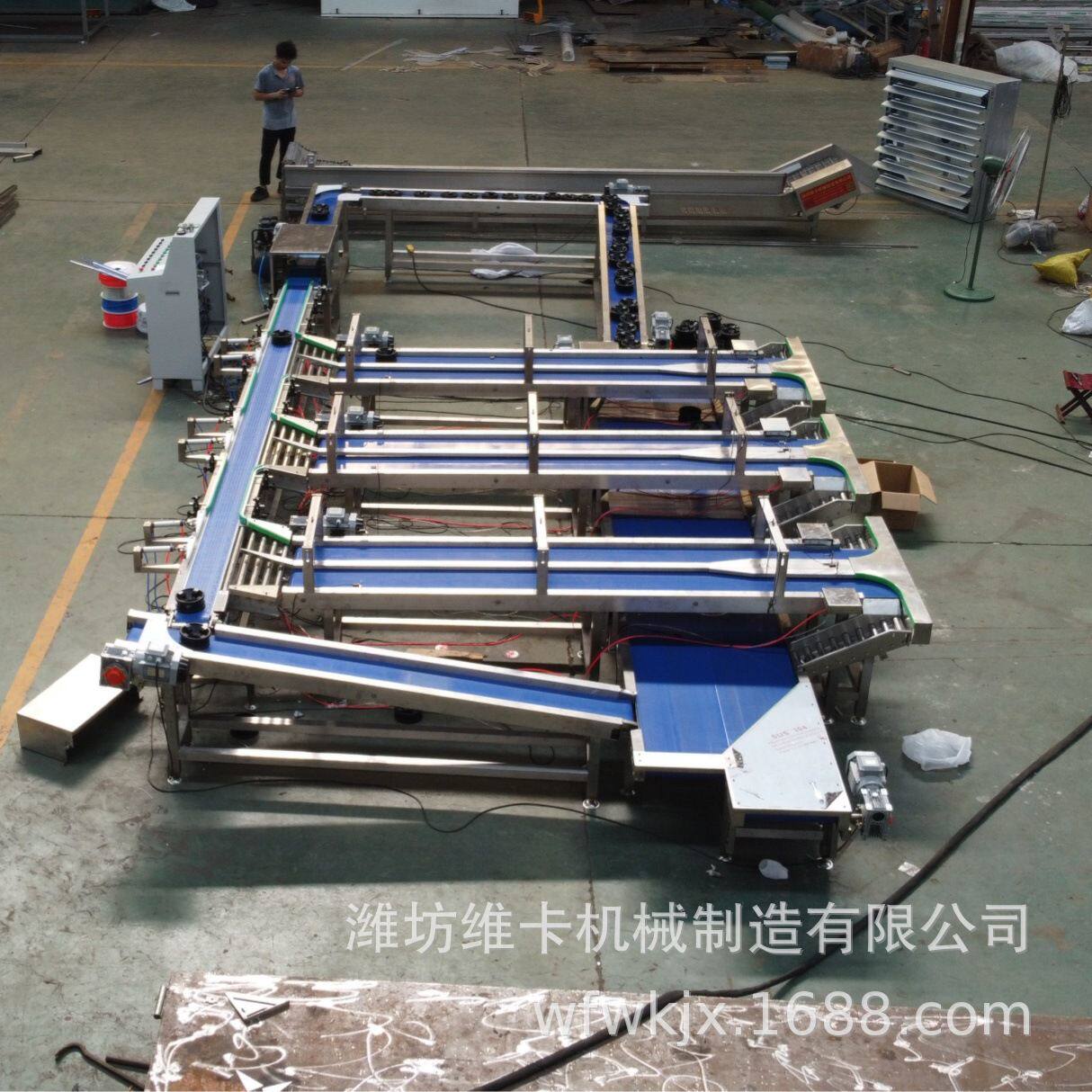 释迦果零损伤分拣机 自动无损水果分选机 呵护式多级称重选果机