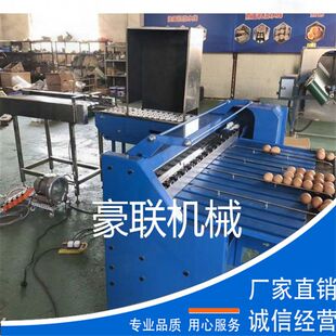 鸡蛋分级机 分选鸡蛋大小 可配套光检 检测鸡蛋内部质量