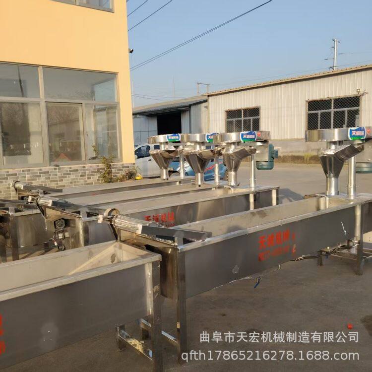 自动煮粉火锅宽粉生产线 天宏商用成套洋芋粉条土豆粉条机