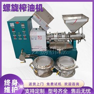 螺旋桐子红花籽亚麻籽榨油机全自动食用油压榨机油坊用低温榨油机