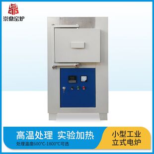 洛阳崇鼎直供高温微电脑智能曲线调温小型工业窑炉真空立式电炉