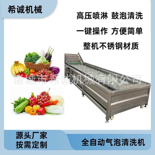 蓝莓芒果气泡清洗机 果蔬清洗去泥机 高压喷淋清洗瓜果流水线