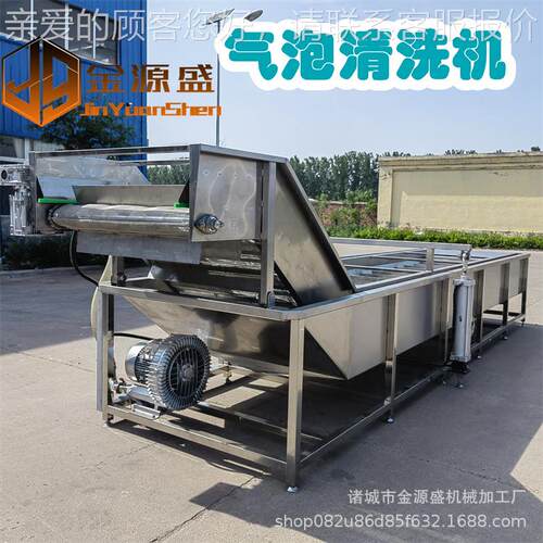 厂家造野菜龙梅须荠菜清洗菜设备 杨制精洗设备 毛辊LDD清洗流水