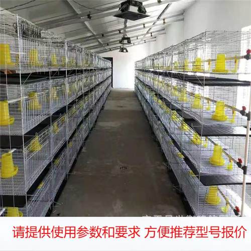 工厂产雏鸡笼 肉鸡笼 蛋鸡笼 做各种养鸡设备鹌鹑笼