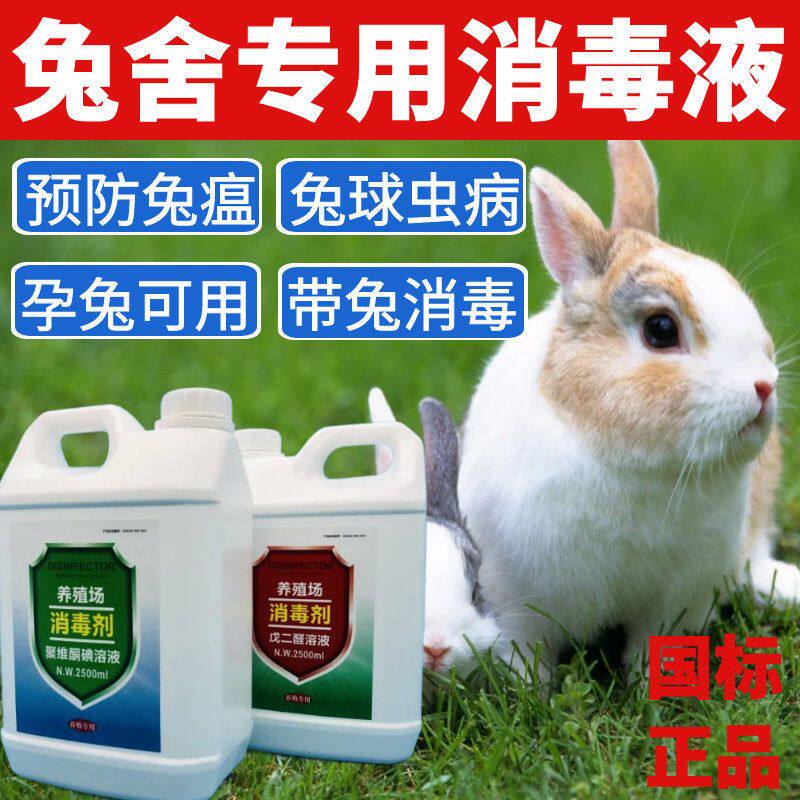 兔场消毒液带兔子兔窝兔舍消毒液养殖场专用兽用孕兔用消毒水剂液
