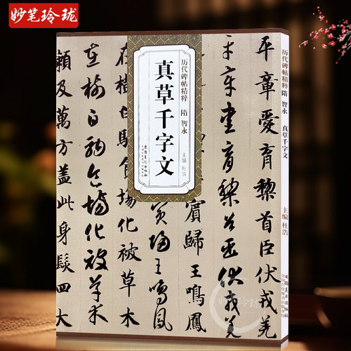 智永真草千字文 隋 历代碑帖精粹 智永真书草书楷书书法毛笔字帖 临摹原碑帖附简体旁注 安徽美术出版社