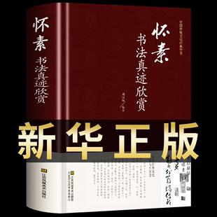 大小草千字文书法全集历代名家书法真迹欣赏 怀素书法真迹欣赏 荟萃草书临摹 草书大字典常用字字汇中国传统文化经典 新华正版