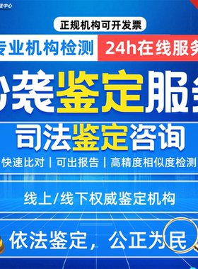 抄袭鉴定抄袭比对相似度鉴定原创度鉴定/查重意见书审查（诉讼前