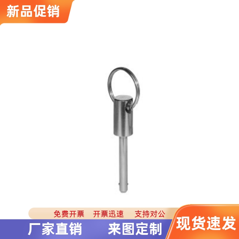 替ZAA01-d16-L50 L55 L60 L65 L70 L75 L80 L85 L90 L100