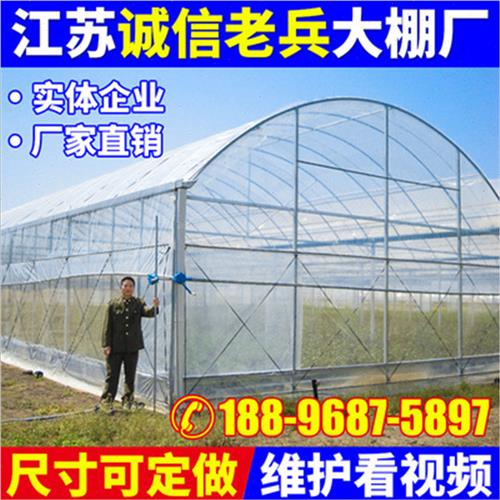 大棚骨架钢管全套温室养殖种植蔬菜花卉棚农业连体栋椭圆支管定制