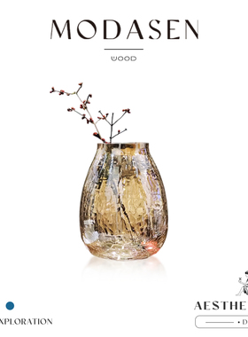 MODASEN丨冰花 DSGR轻奢裂纹玻璃花瓶创意花器家居插花装饰摆件