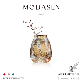 饰摆件 DSGR轻奢裂纹玻璃花瓶创意花器家居插花装 MODASEN 冰花
