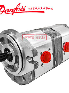 萨澳油泵SNW2NN/017R106GFNNE6E5NNNN/NNNNN双联泵