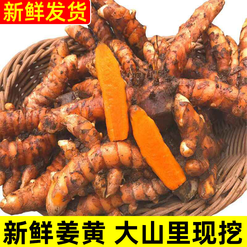 广西秋姜黄新鲜小黄姜月子姜