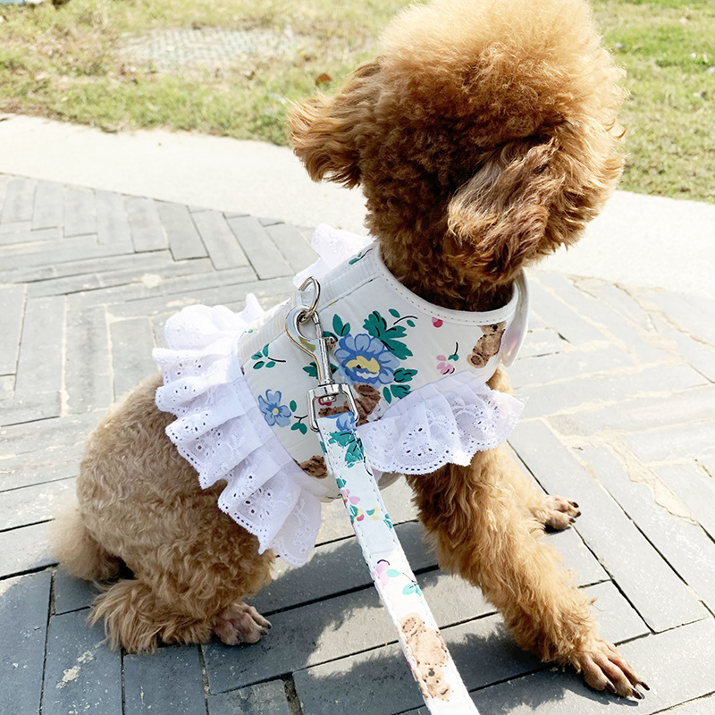 泰迪狗衣服网红比熊秋季可爱宠物博美狗狗胸背带幼犬小型犬牵引绳