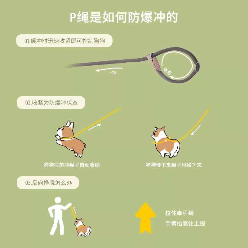 狗狗牵引绳P链项圈金毛中