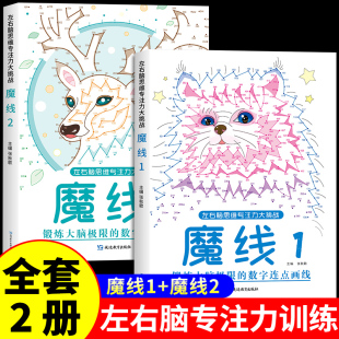 左右脑思维专注力 儿童魔线专注力 迷宫大挑战 视觉训练趣味玩具适合小学生一二年级益智游戏书籍 魔线1 8岁儿童益智游戏书