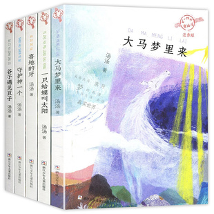 不一样的童话汤 注音版 全5册 一只蛤蟆叫太阳+喜地的牙+大马梦里来+守护神一个+谷子遇见豆子 汤汤经典奇异童话系列儿童文学读物